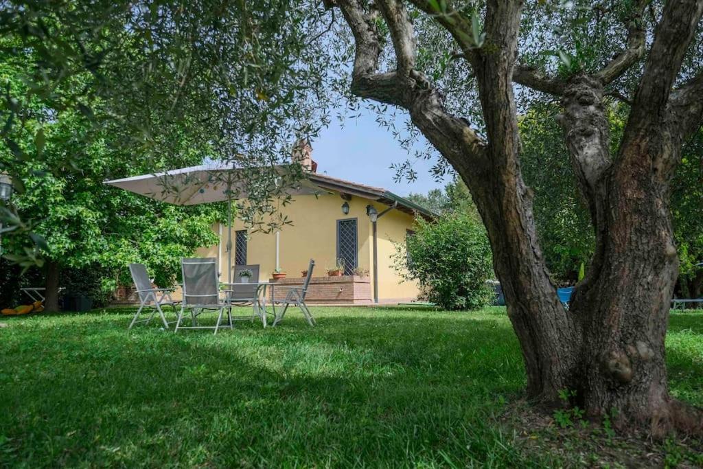 Villa Luxury Pool & Garden Pisa Exterior photo